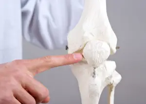 anatomy of the knee with a finger on the patella