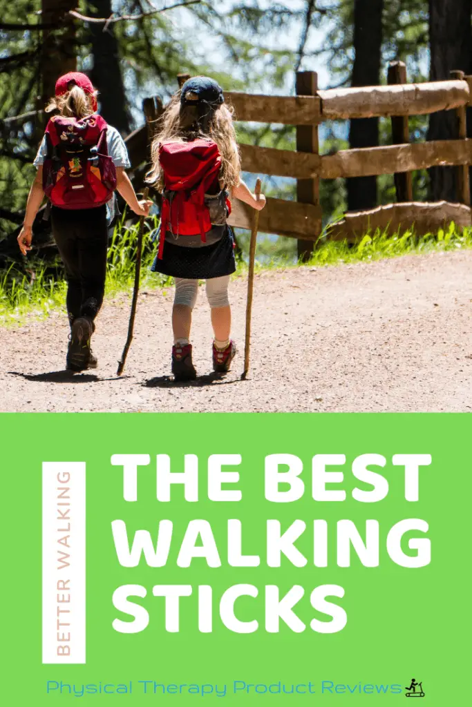 the best walking sticks