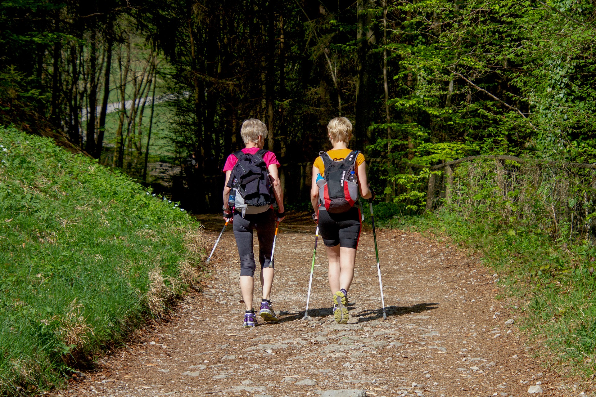 Walking Poles The Best Trekking Poles for Better Walking Best
