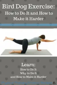 The Bird Dog Exercise: How to Do it and How to Make it Harder for Better Back and Core Strength