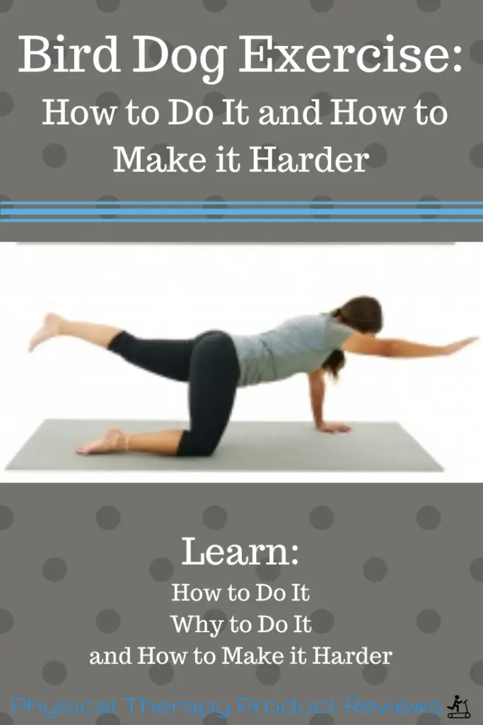 bird-dog-exercise-how-to-do-it-and-how-to-make-it-harder-best